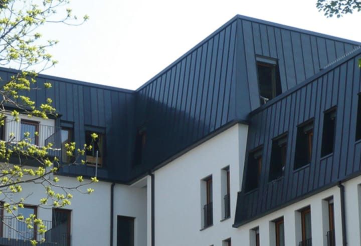NedZink Noir Frankfurt Dach